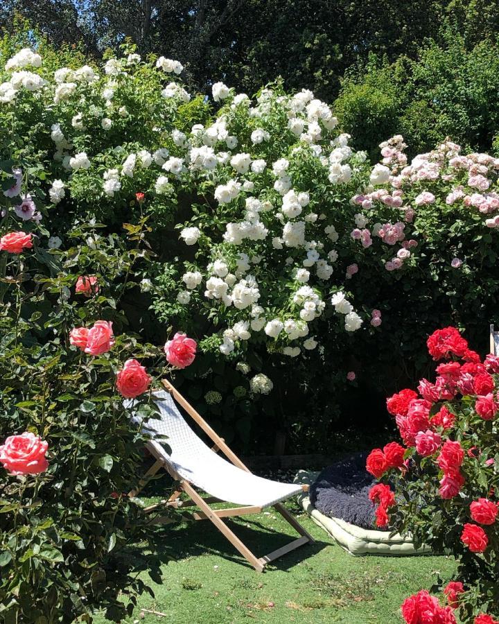 Lulu En Provence Bed & Breakfast LʼIsle-sur-la-Sorgue Екстериор снимка